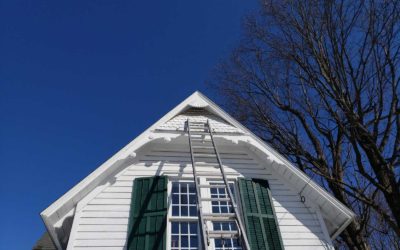 Removing Flying Squirrels from the Poestenkill, NY Library