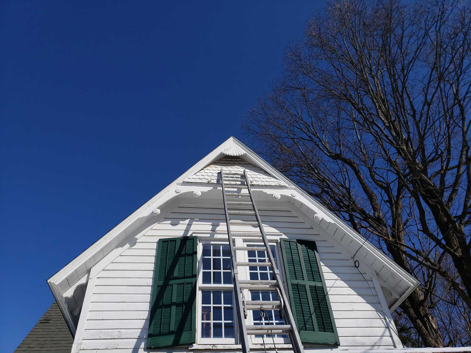 How to Kill Flying Squirrels in the Attic or House