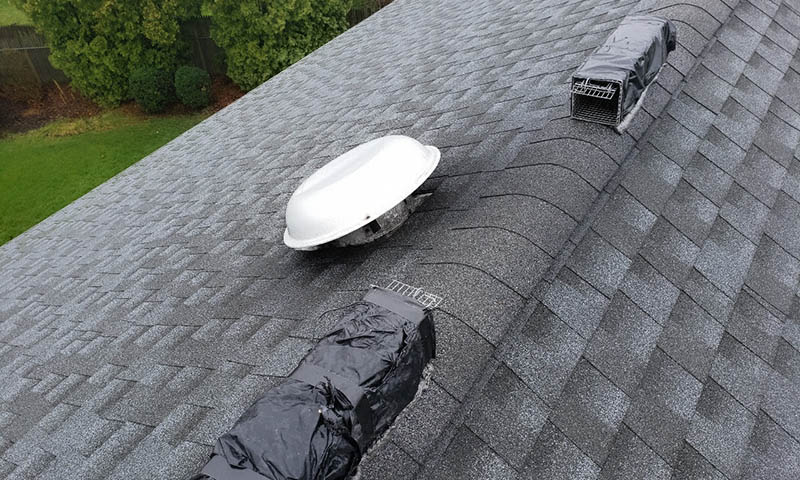 humane squirrel traps outside roof vent