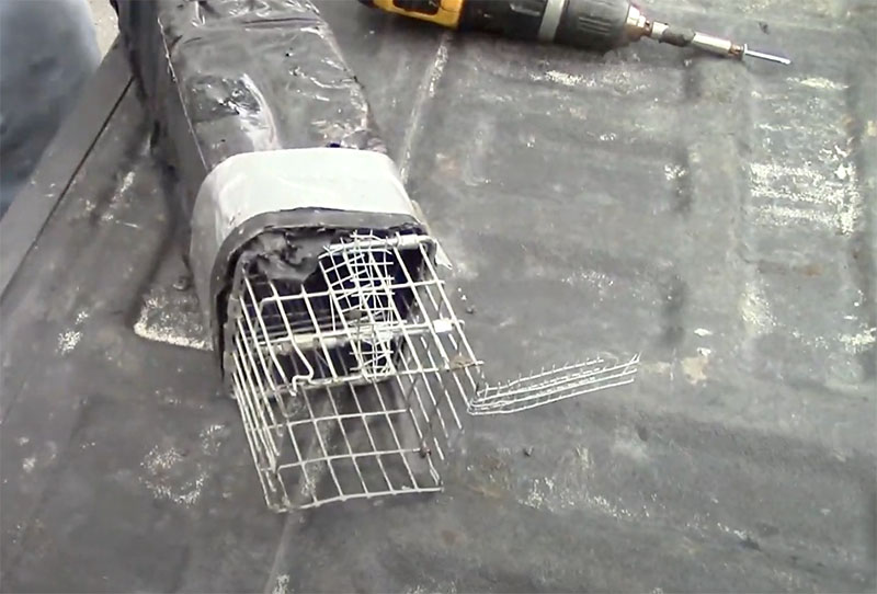 one-way trap used for squirrel removal