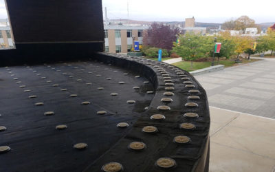Installing Bird Deterrents on the SUNY Cobleskill Library