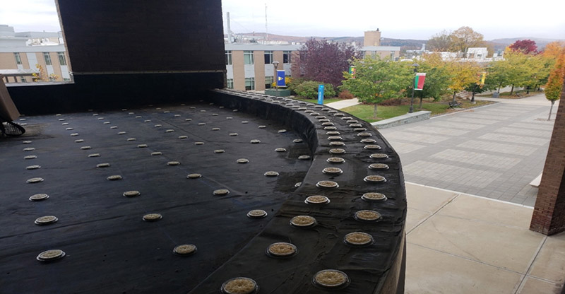 Installing Bird Deterrents on the SUNY Cobleskill Library