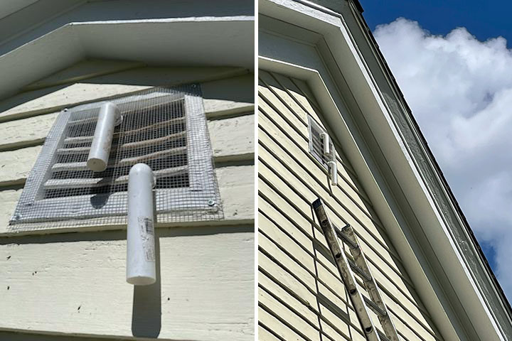 one-way bat removal door over attic vent